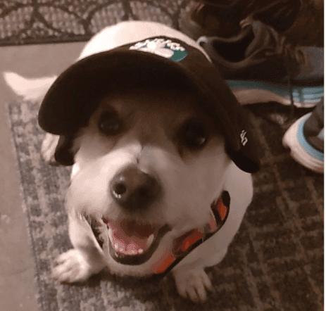 Oakland One on One Boarding